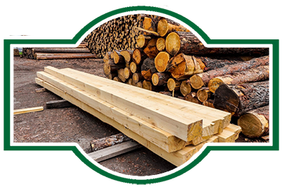 Экспертиза древесины и лесоматериалов
